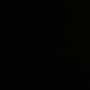 Meet your Posher, Teri